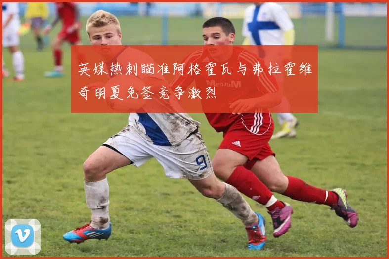 英媒热刺瞄准阿格霍瓦与弗拉霍维奇明夏免签竞争激烈