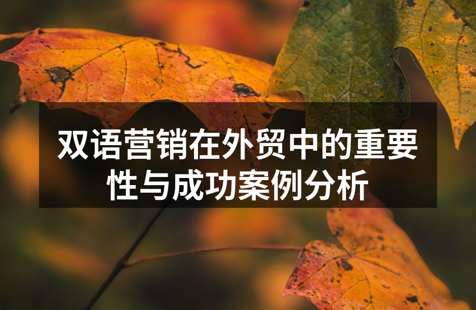 双语营销的实施案例