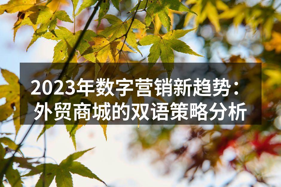 数字营销策略示意图