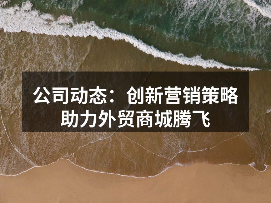 公司的营销团队正在策划新活动