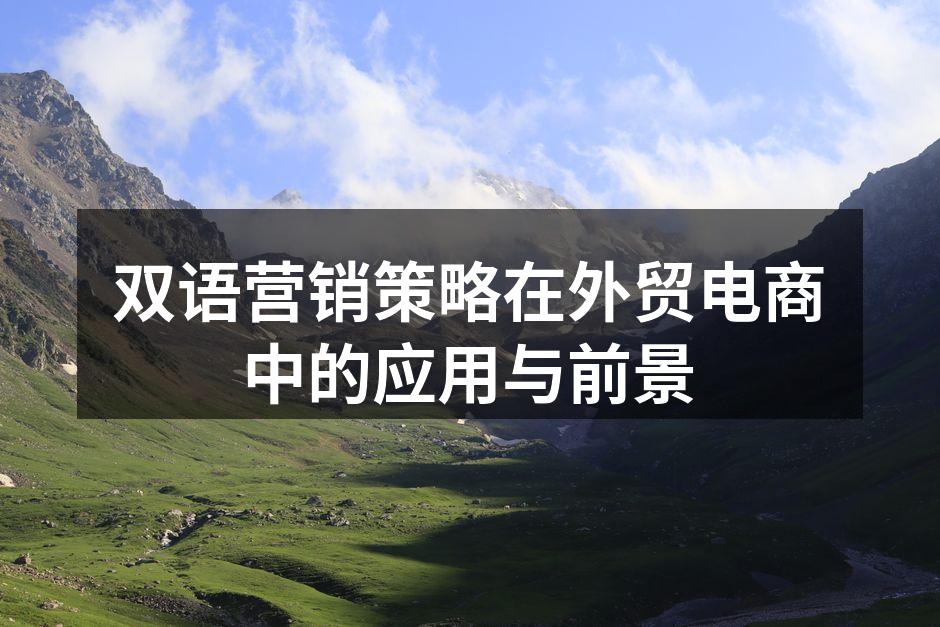 双语营销的成功案例分析