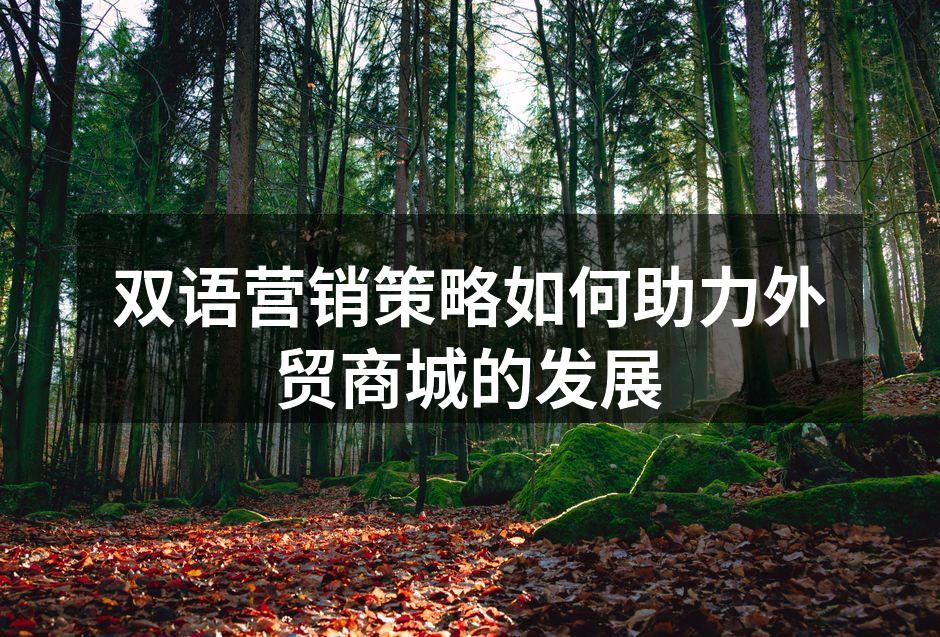 双语营销助力品牌发展