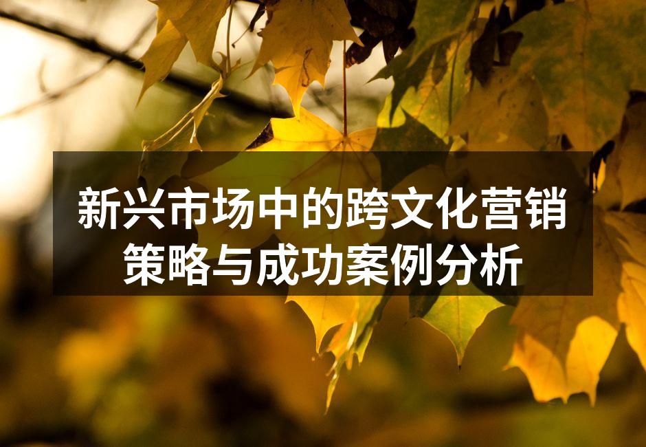 新兴市场中的跨文化营销策略与成功案例分析