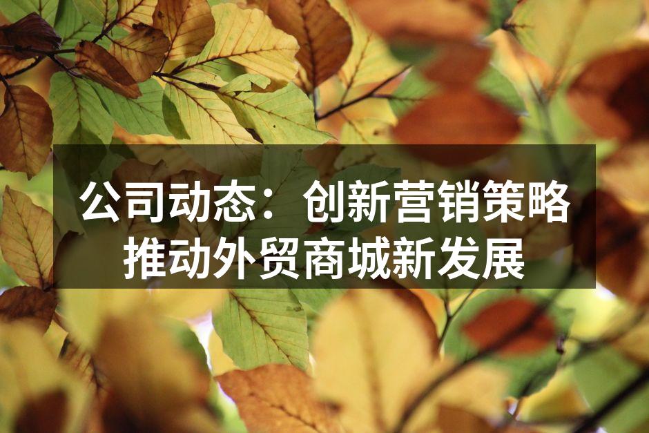 公司动态：创新营销策略推动外贸商城新发展