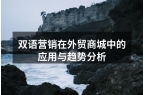 双语营销在外贸商城中的应用与趋势分析