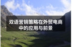 双语营销策略在外贸电商中的应用与前景