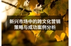 新兴市场中的跨文化营销策略与成功案例分析